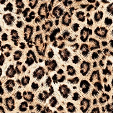 Leopard skin